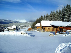 Отель Alpenchalets Weissenbacher  Тамсвег